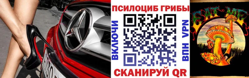 Купить закладки  Королёв  Галлюциногенные грибы Psilocybine cubensis 